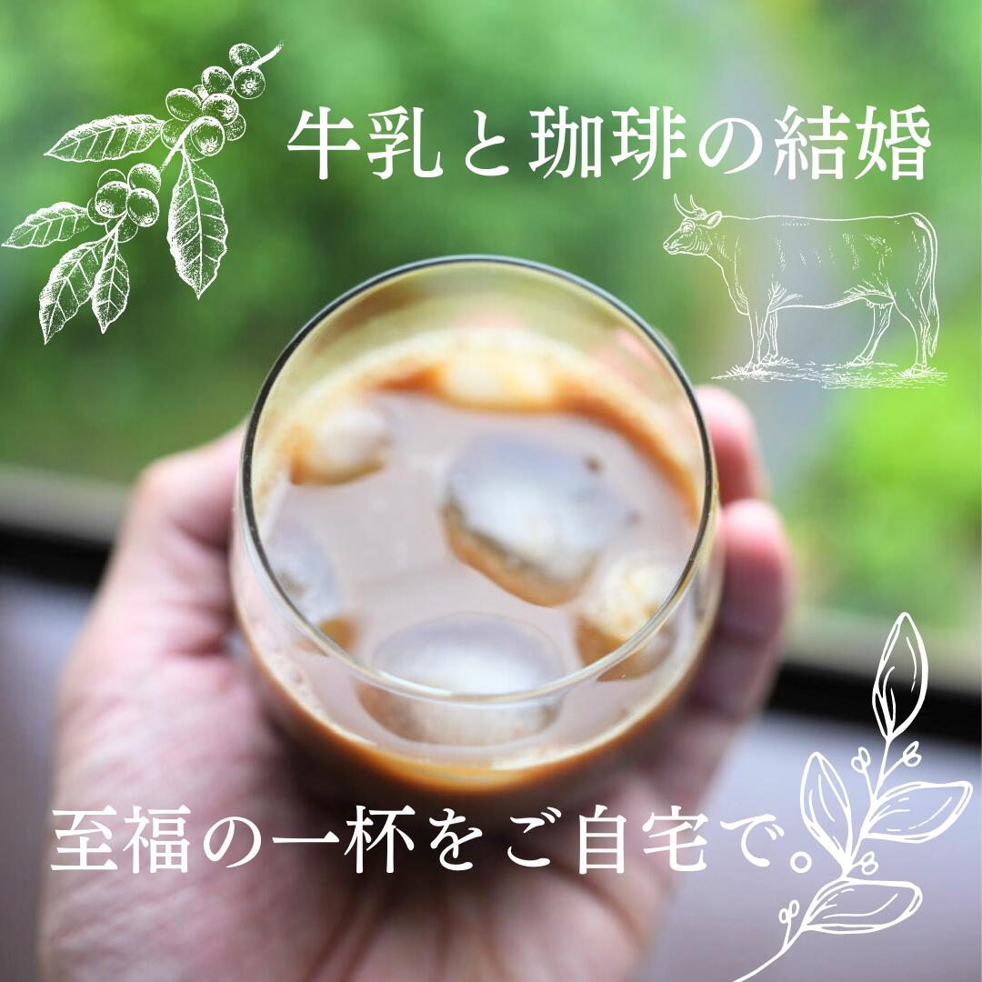スペシャルティカフェオレベース（2本）