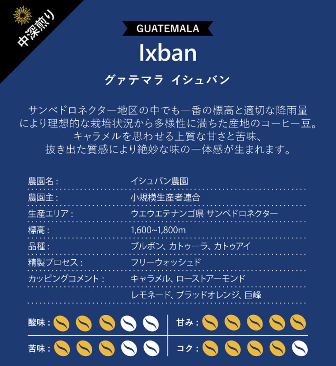 グァテマラ イシュバン 100g、200g、400g、1kg 中深煎り